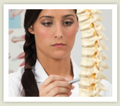 Spine-1